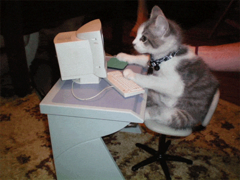 Pixel cat
